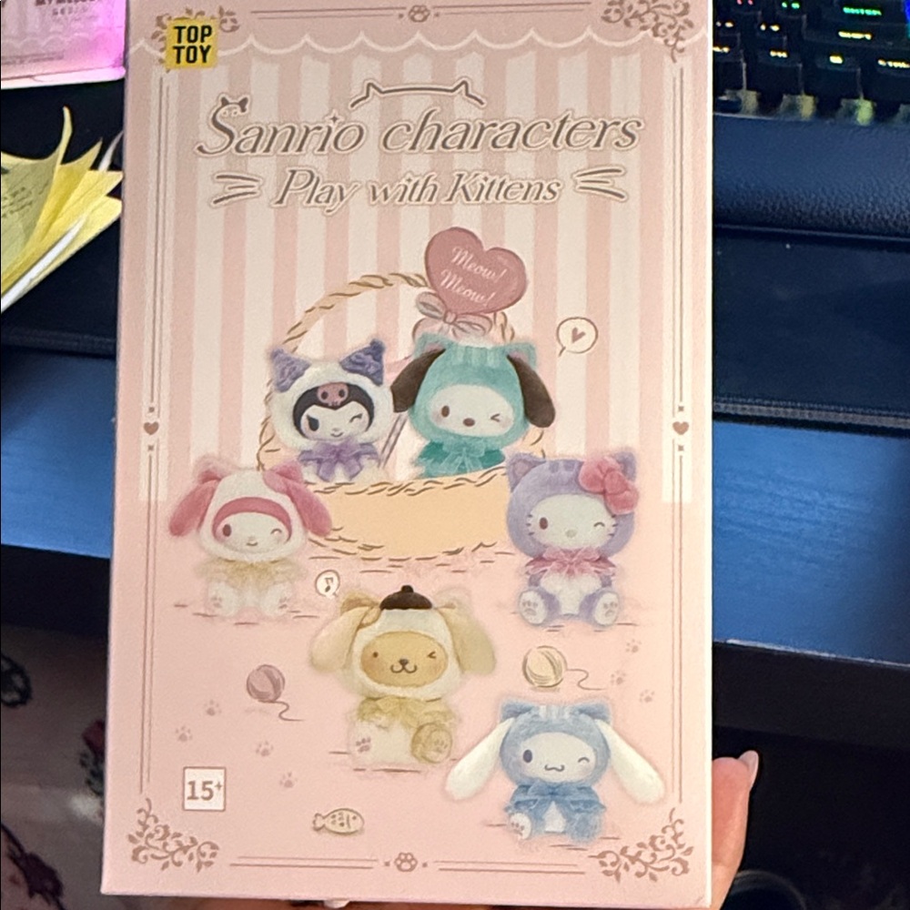 Sanrio Pink Play with Kittens Book